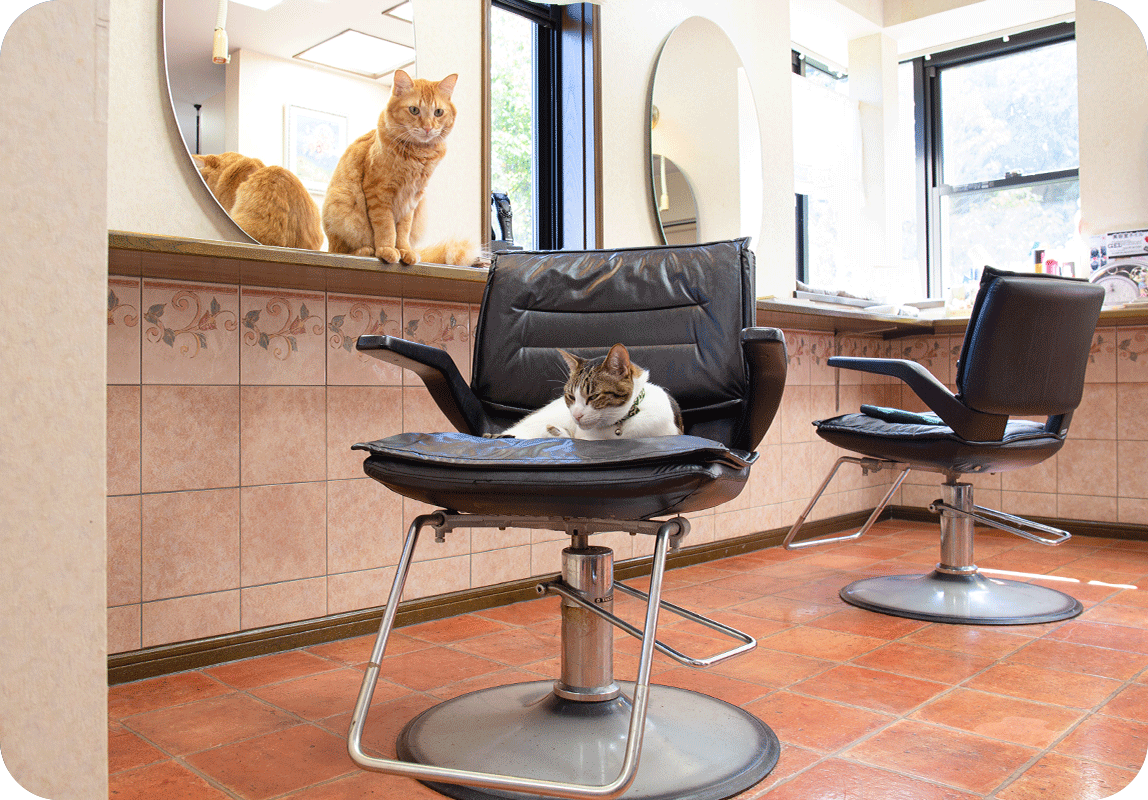 緑に囲まれた 静かな美容室