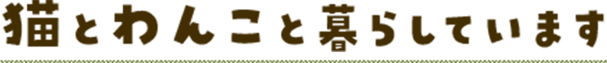 猫とわんこと暮らしています
