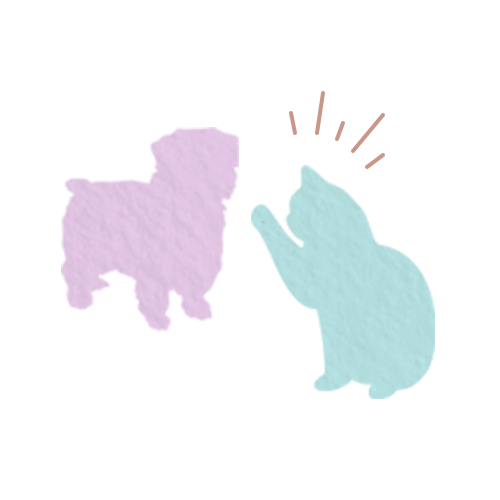 猫とわんこと暮らしています